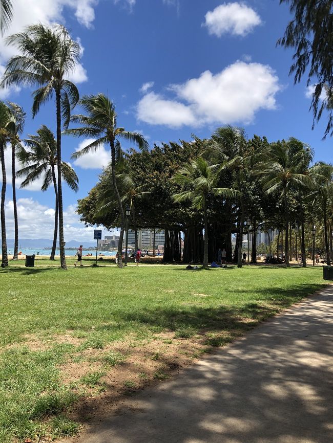 バニヤンツリー<br />