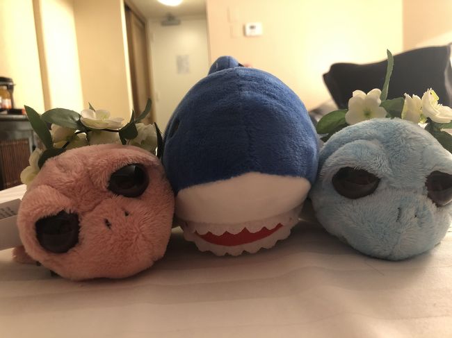 <br />真ん中、シャークのぬいぐるみ<br />マツモトシェイブアイスのお店で<br />日本でお留守番している<br />愛娘（愛犬）へ購入しました( ^ω^ )