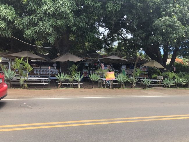 The Busは<br />ハイウェイ追越車線を<br />ありえないくらいの速度で<br />ブンブン<br />かっ飛ばし(´⊙ω⊙`)笑<br /><br />無事にハレイワの街に到着～