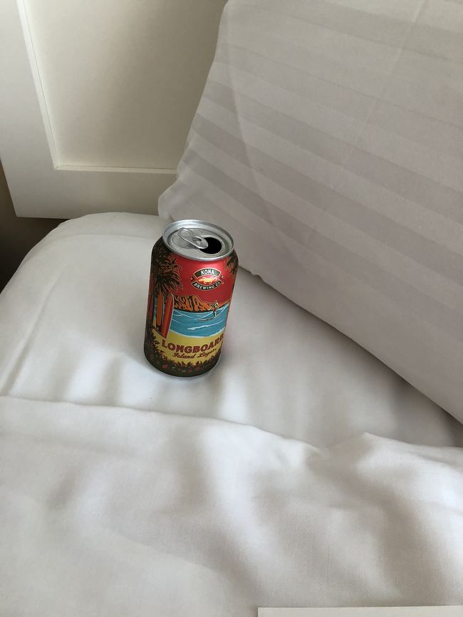 一人ビールで乾杯！<br /><br />昼から飲む<br />ビールは最っっ高ー( ´∀｀)