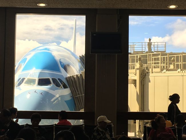 C4の搭乗口まで、ぼちぼち歩いて、途中スタバのココナッツフラペチーノを飲みながら行きました。<br />今日は一号機のラニさんです。