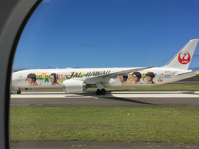 嵐ジェットも見えました。<br />嵐より私はホヌがいいですね。