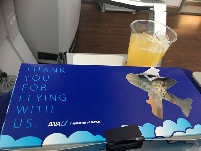 到着前にフルーツの盛り合わせとデニッシュパンのサンドイッチが来ます。ハワイアンチョコレートも有りました。<br />お腹いっぱいでも、美味しかったので完食しました。<br /><br />映画は行きと変わってましたので、退屈しませんでした。<br />あっという間に成田に到着です。