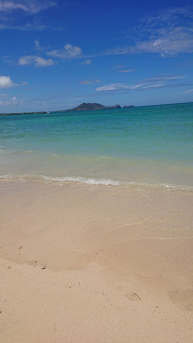 どこまでも青い海が私たちを待っていてくれました(*^。^*)