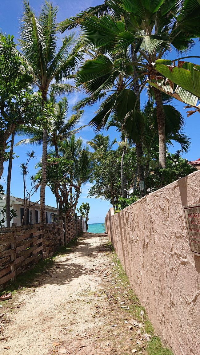 ホールフーズでタクシーを呼んで・・ラニカイビーチへ<br />ビーチに続く小道を覗くだけで期待感が・・<br />ワクワク(^O^)