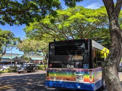 途中、耳の聞こえない人が乗ってきて運転手さんに「耳が聞こえない」と手話で伝えて行きたいところの地図を運転手さんに見せると「OK!」の合図。
停留所に着くと、運転手さんはバスを止めてその人の所に歩いて行って到着を伝えていた。
時間がかかるけど車内は穏やかで、イライラしている人が多い日本のバスとは大違い。
障害を持つ人に、普通の生活ができるための援助が当たり前に行われている。
バスの色も明るく、心も晴れるわ～(^O^)