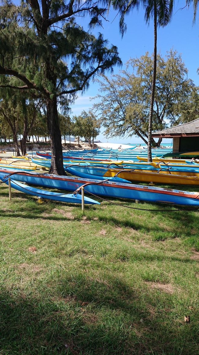 こんな景色にも心が躍る