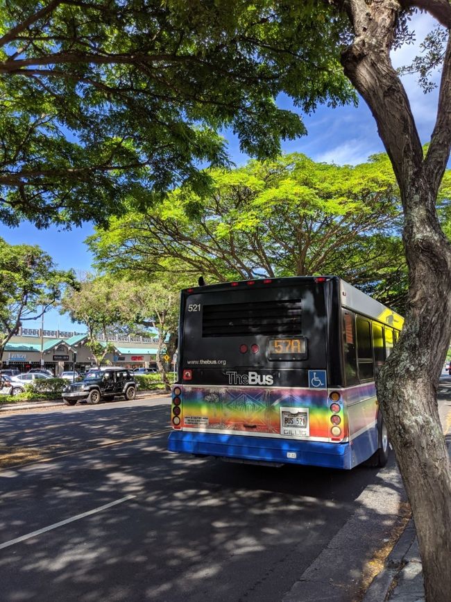 途中、耳の聞こえない人が乗ってきて運転手さんに「耳が聞こえない」と手話で伝えて行きたいところの地図を運転手さんに見せると「OK!」の合図。<br />停留所に着くと、運転手さんはバスを止めてその人の所に歩いて行って到着を伝えていた。<br />時間がかかるけど車内は穏やかで、イライラしている人が多い日本のバスとは大違い。<br />障害を持つ人に、普通の生活ができるための援助が当たり前に行われている。<br />バスの色も明るく、心も晴れるわ～(^O^)