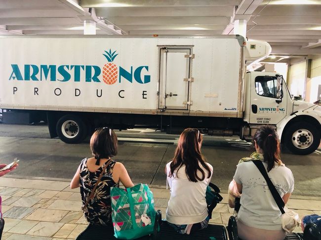 次は、アラモアナセンターまでピンクバスで移動して・・<br />ザ・バスを待ちます。<br />2月の土砂崩れの影響でパリハイウェイは閉鎖されたままのため、バスのルート55はH1からH3へ迂回ルートでカイルアタウンへ<br />