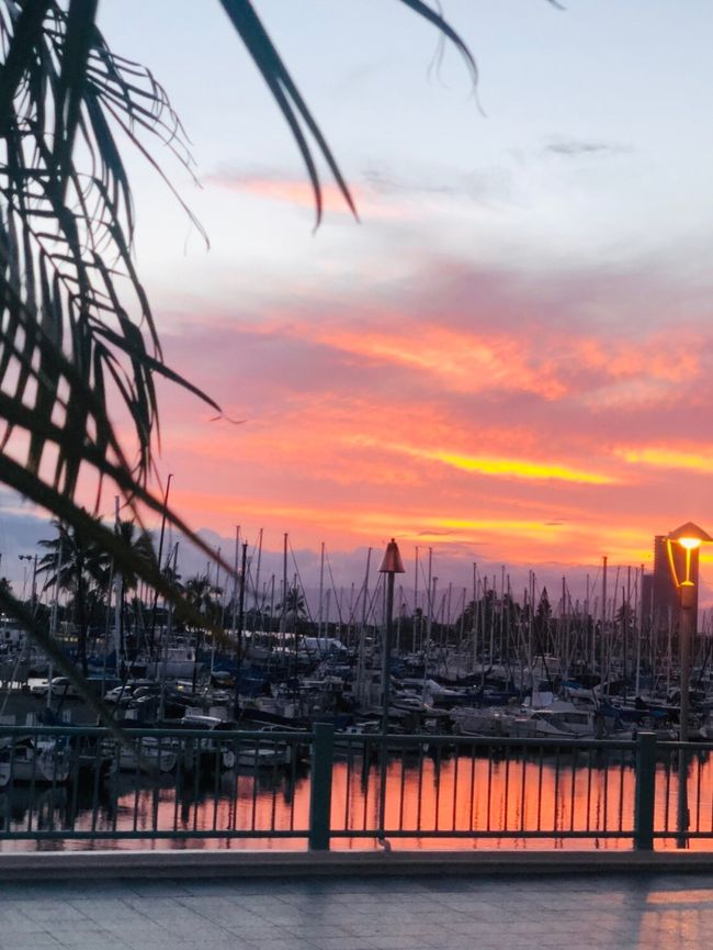 だってこんなに・・