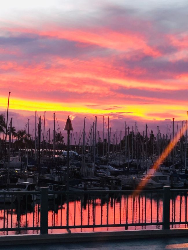 どんどん色づいて行く