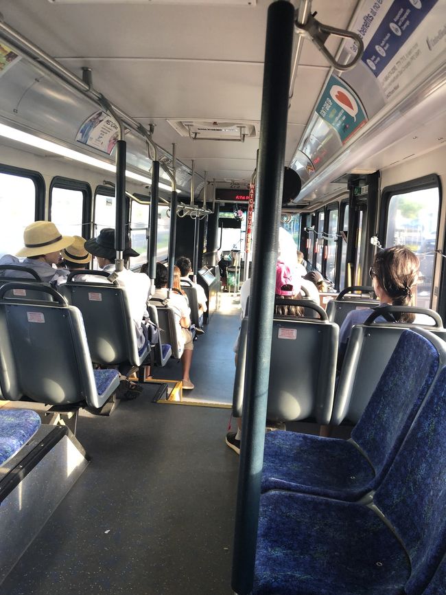 今日は豪雨に襲われることなく<br />散策できました！<br />帰りのバスの乗り方がわからず<br />surf＆Seaのお兄さんに聞きました！<br />降車したバス停で52番に乗れば<br />またアラモアナ行きになるよ！<br />とのこと。<br />無事に乗車。<br />帰りの車中は爆睡。。。