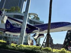 【街中に飛行機】

本物の旅客機が、浮遊しているモールがぁぁ....

これを横目に、まずはホテルに向かいます～