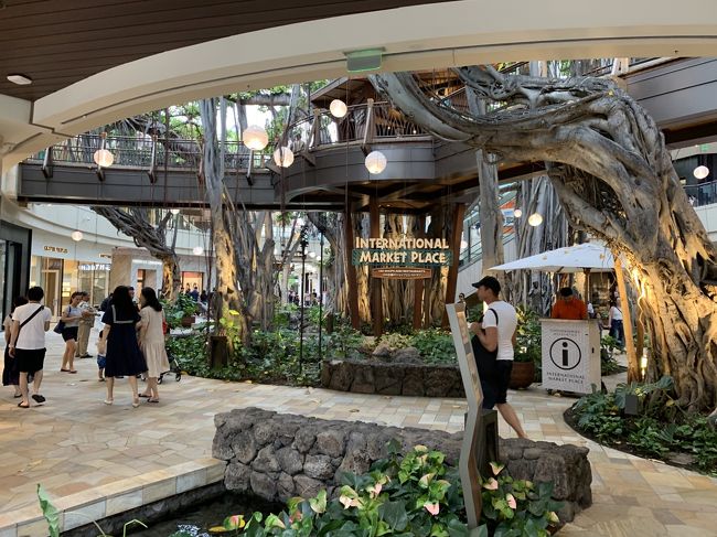 中ほどにある木は以前からあるものかな～？