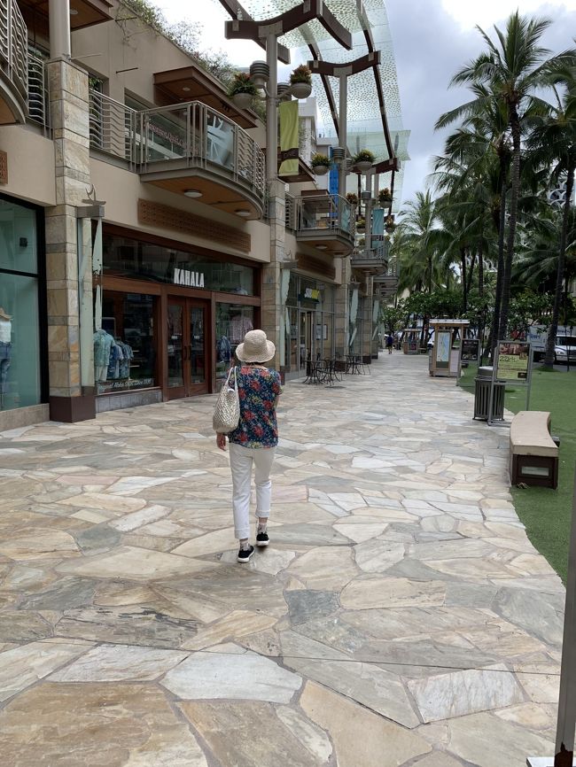 １５時過ぎたので買い物＆夕食に出かけます。