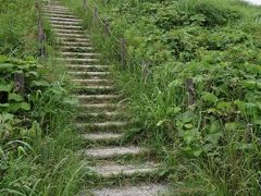 稲荷山古墳に上ってみます。