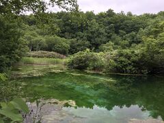 湿原の手前にある龍神沼が秋には紅葉赤と沼のエメラルドグリーンとのコントラストが美しいと、ネットの口コミで評価が高かったのでやってきた