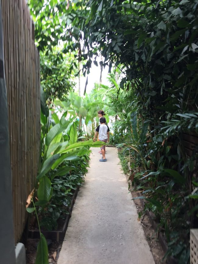 7日目の朝。<br />朝食の画像はありません。<br />なかなか良かったと思います。良かったんじゃないかな。良かったかもしれない