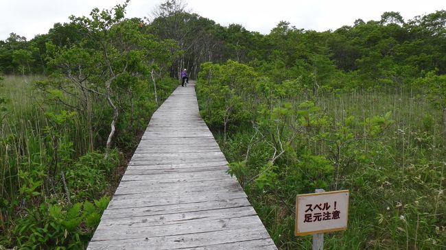 数量限定価格!! 道南の自然を歩く: 地質あんない | 地学団体研究