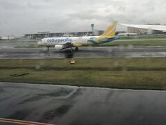 マニラ空港は雨。　Cebu Pacfic 航空の機がいたるところに。