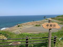 一時間ほどのドライブで白米千枚田に到着しました。先日の丸山千枚田（https://4travel.jp/travelogue/11479706）と違って海に面しているので海風が心地よいです。