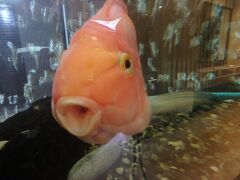 「えっ、もうこれで帰っちゃうの？ また次も待ってるよ！」