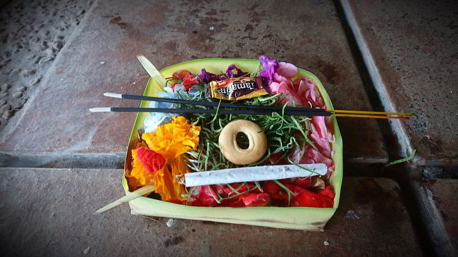 散歩中に見つけたお供え物