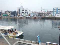 三崎港に到着しました。この穏やかな雰囲気、最高すぎます。
