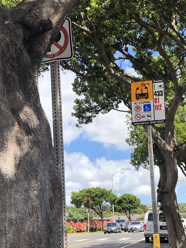 こちらが<br />E のバスを降りて<br />道路反対側に渡ってワイケレアウトレットまで乗る<br />433がくるバス停。<br />今回は乗り継ぎがよく<br />無事に433に乗るとができました～