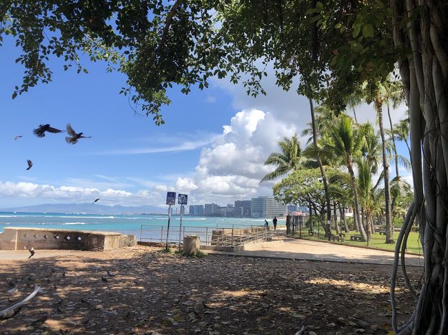 パンケーキ美味しかった！<br />持ち帰りでも<br />バター、蜂蜜、グァバ、ココナッツシロップを<br />小分けして入れてくれてました(n´v｀n)