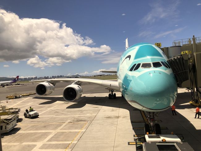 途中っ！！！！！<br />緑色のフライングホヌがっ！！！！<br />すごーーーく大きな機体！<br />