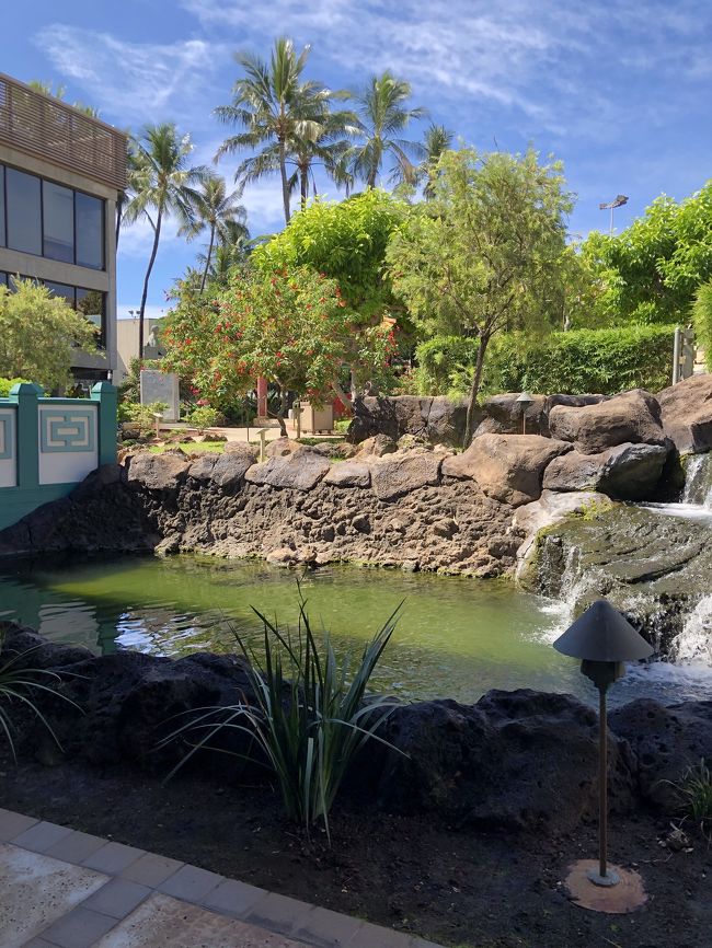 1F<br />ラウンジ前の日本庭園。<br />