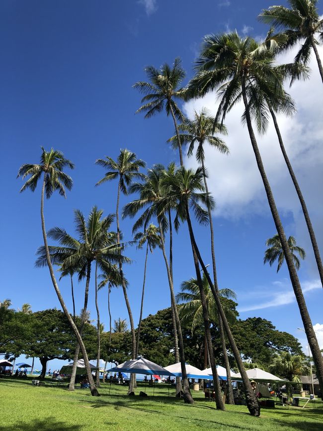 カピオラニ公園をお散歩しました。<br />公園内は地元の方々がBBQ！<br />めっちゃいい匂い～！(ﾉ´∀｀)ﾉ<br /><br />皆さん<br />3～4家族単位で<br />自治会のお祭り並みの大きなテントを張って<br />BBQしてます！<br />賑やかです。<br />独立記念日だけあって<br />星条旗の洋服やバッグなど<br />身につけている方が多かったです～！
