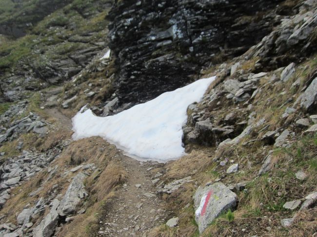 ちょっと雪はありますが、こうゆう道ならよかった。