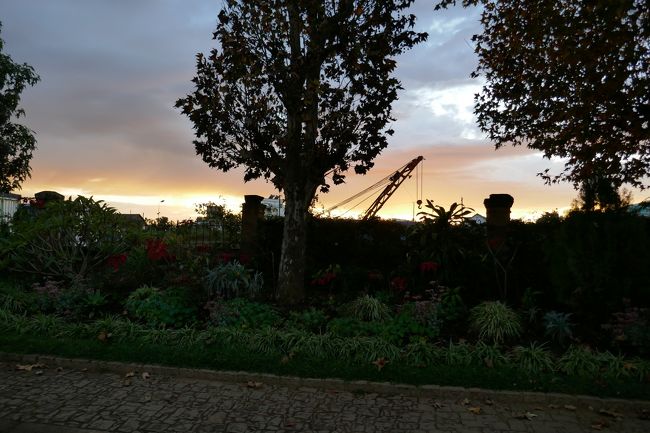 ６月２０日木曜日の朝です