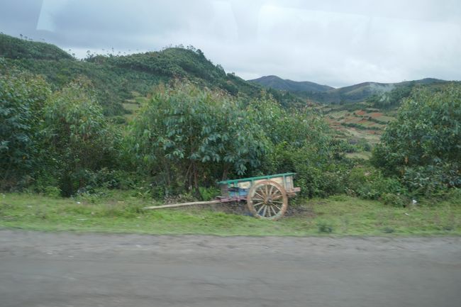 エキゾチックパークへ