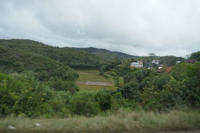 雨が降って来ました