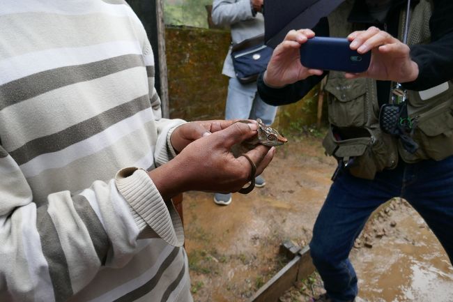 カメレオン保護区