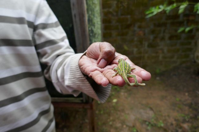 大事に管理しています