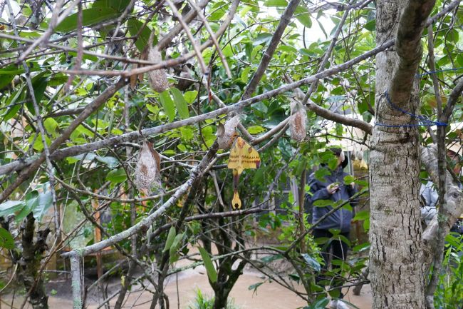 ケージ外にもいます