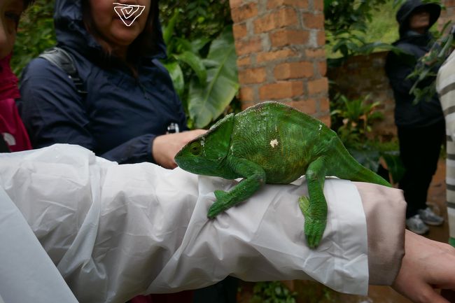 だんだん大きくなる