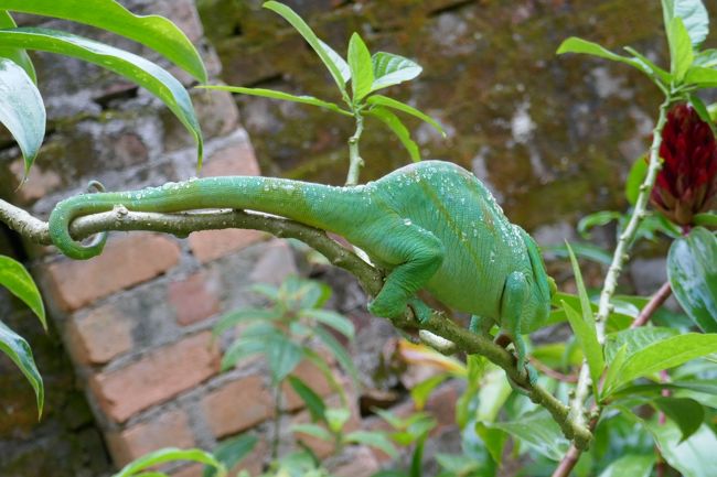 皆さん触りたいって！