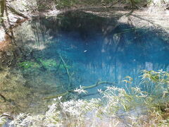 下から湧き出している透明な池
なのにここだけ青く見えるのです