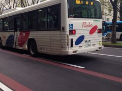 白いのは臨港バスで水色のは川崎市営バスですね