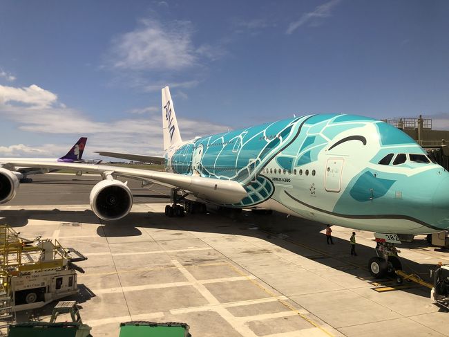 すぐ出発のようです！<br />いつかはフライングホヌで<br />ハワイに来たいな～！