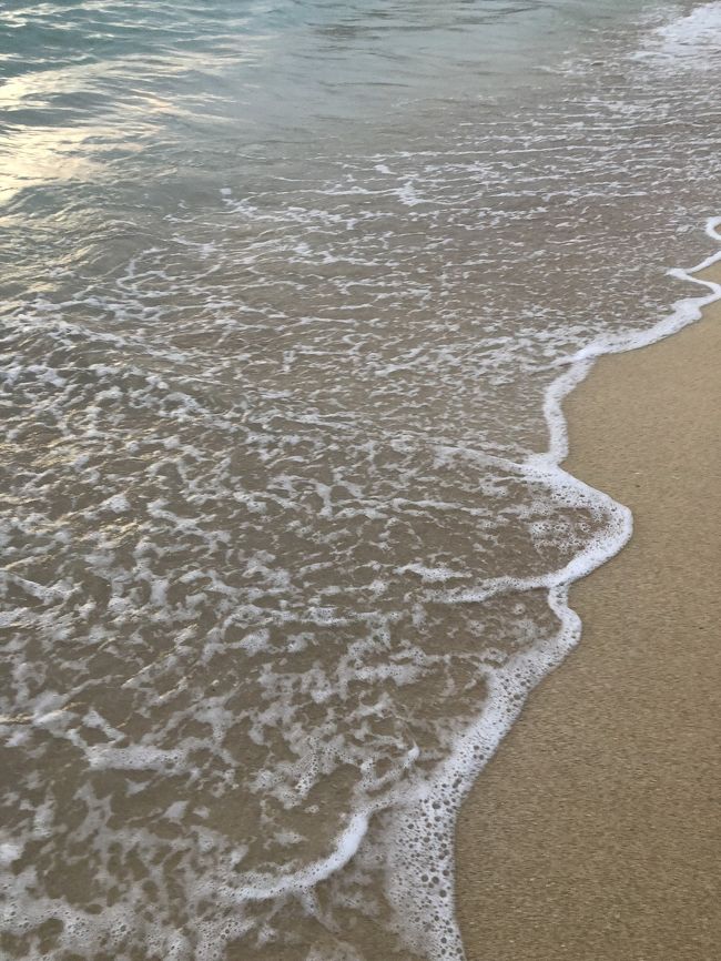 2019年も<br />大好きなHawaiiに９泊も行くことができ<br />とても幸せな11日間でした。<br />長期間おやすみくれた職場に感謝。<br />また来年もHawaii行けたらいいな～～<br />お仕事頑張ってお金貯めないと～！<br />最後までご覧くださり<br />ありがとうございました～(*´ω`*)