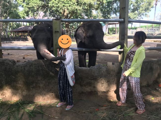 お散歩が終わると子ぞうのいるエリアに行きます🐘<br /><br />そこで有料のエサやりが出来ます🌽<br /><br />フルーツとトウモロコシが入ったバスケットをUbudiと娘ちゃんそれぞれで買いました💸<br /><br />もう子ぞうったらバスケット見るなり、はよよこさんかい!!!と鼻でエサを奪い取るしｗｗｗ<br /><br />🌽も1本丸々すごい速さで完食だしᐠ( Ö )ᐟ꒳ᵒ꒳ᵎᵎᵎ<br /><br />ジェシカにも食べさせてあげたかったな(´∵`)ｼｭﾝ<br /><br />ここでもぞう使いさん写真撮ってくれたの♪♪<br /><br />ちゃんとチップ渡してお礼言いました(*´︶`*)♡Thanks!