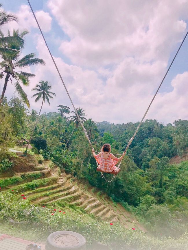 7/2 🌴Aloha Ubud Swing🌴<br /><br />スウィングをしたいとの娘ちゃんのご所望でブランコしてきましたｗｗｗ<br /><br />昨年1人でガイドさんに連れてってもらった、テガラランのスウィングに行こうと思ってたけど、調べてるうちに新しいスウィングを発見👀✨<br /><br />同じくテガラランにあるスウィングで、料金はRp300,000だけど景観も良さそうだし、新種のブランコもあって娘ちゃんも喜びそう(٩Üو)♪♪<br /><br />テガラランならアンドンから一本道だしバイクで行きましたよ🚲<br /><br />サヤンにあるバリスウィングが新たに始めたスウィングとわかった。<br /><br />Aloha Ubud Swing<br />https://alohaubudswing.com/aloha-ubud-active/<br /><br />午前中に行ったけど人気みたいで結構色んな国の方が来てたᐠ( Ö )ᐟ꒳ᵒ꒳ᵎᵎᵎ<br /><br />インスタ映え狙いでレンタルドレスも貸し出してたし!!!<br /><br />そのレンタルドレス着て、足から入れてベストみたいに着るガッツリハーネス着けてる、アジア諸外国の方をお見掛けしたけども...<br /><br />(*´艸`)ﾌﾟﾌﾟ<br /><br />ドレスがハーネスで台無しだけど着る意味あるの??<br /><br />この方のブランコにかける意気込み...ちょっと理解できないｗｗｗ<br /><br />もしUbudiならレンタルドレス着たら、ハーネスはウエストだけのブランコに乗ると思うꉂꉂ"̮˖笑"̮˖<br /><br />めっちゃカッコ悪いもん!!!<br /><br />Ubudiはブランコ乗って怖かったので乗りたくなかったんですけど...<br /><br />娘ちゃんのご所望だし嫌々乗ってみたんですよ...<br /><br />あ...このブランコ怖くない...<br /><br />でもあんまり楽しくないｗｗｗ<br /><br />少しだけ乗って終わりって言ったら、スタッフの人簡単だねと苦笑いしてたヾ( ᐖ`;))ﾉ<br /><br />娘ちゃんはハーネス体に着けるブランコ乗ったら、キャーキャー言ってたけど楽しそうだったꉂꉂ"̮˖笑"̮˖