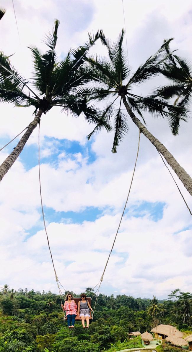 バリの人はiPhoneが好きみたいよ??<br /><br />iPhone渡すと喜んで写真撮ってくれるꉂꉂ"̮˖笑"̮˖<br /><br />娘ちゃんのiPhoneだけどね(๑>ᴗ<๑)<br /><br />UbudiはGALAXY派、