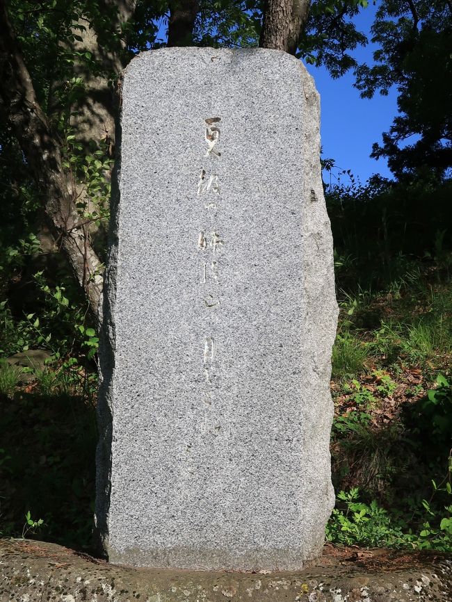 信州令和56 姨捨山b 長楽寺 句碑・歌碑ずらり ☆芭蕉/一茶の跡を慕って奉納され